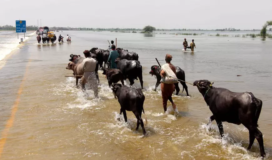 Secetă și caniculă în Europa, inundații musonice în Asia. Ce urmează în politicile climatice pe 2023