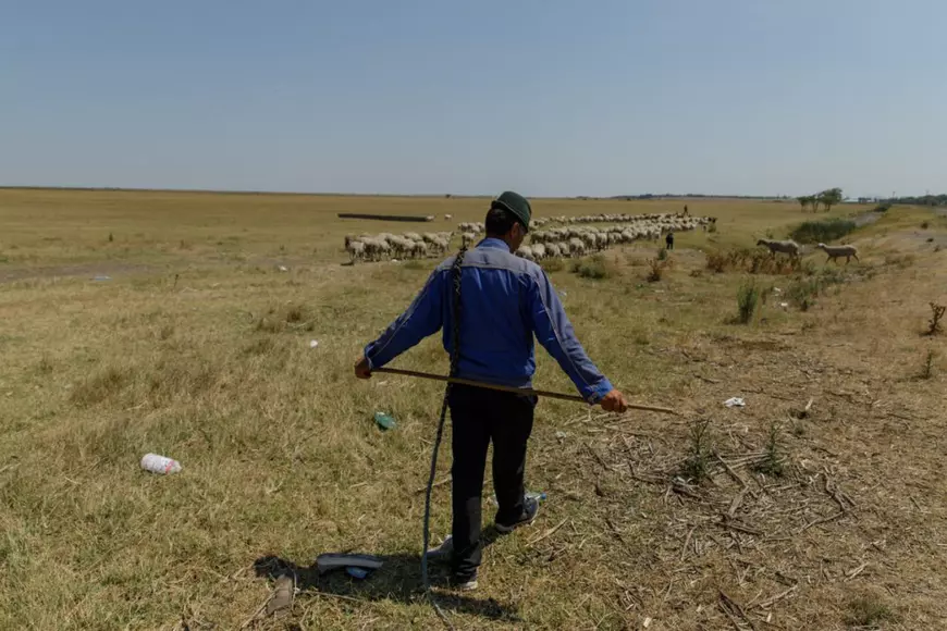 Evenimentele sociale și politice din 2022, în zece imagini ale fotoreporterilor Libertatea
