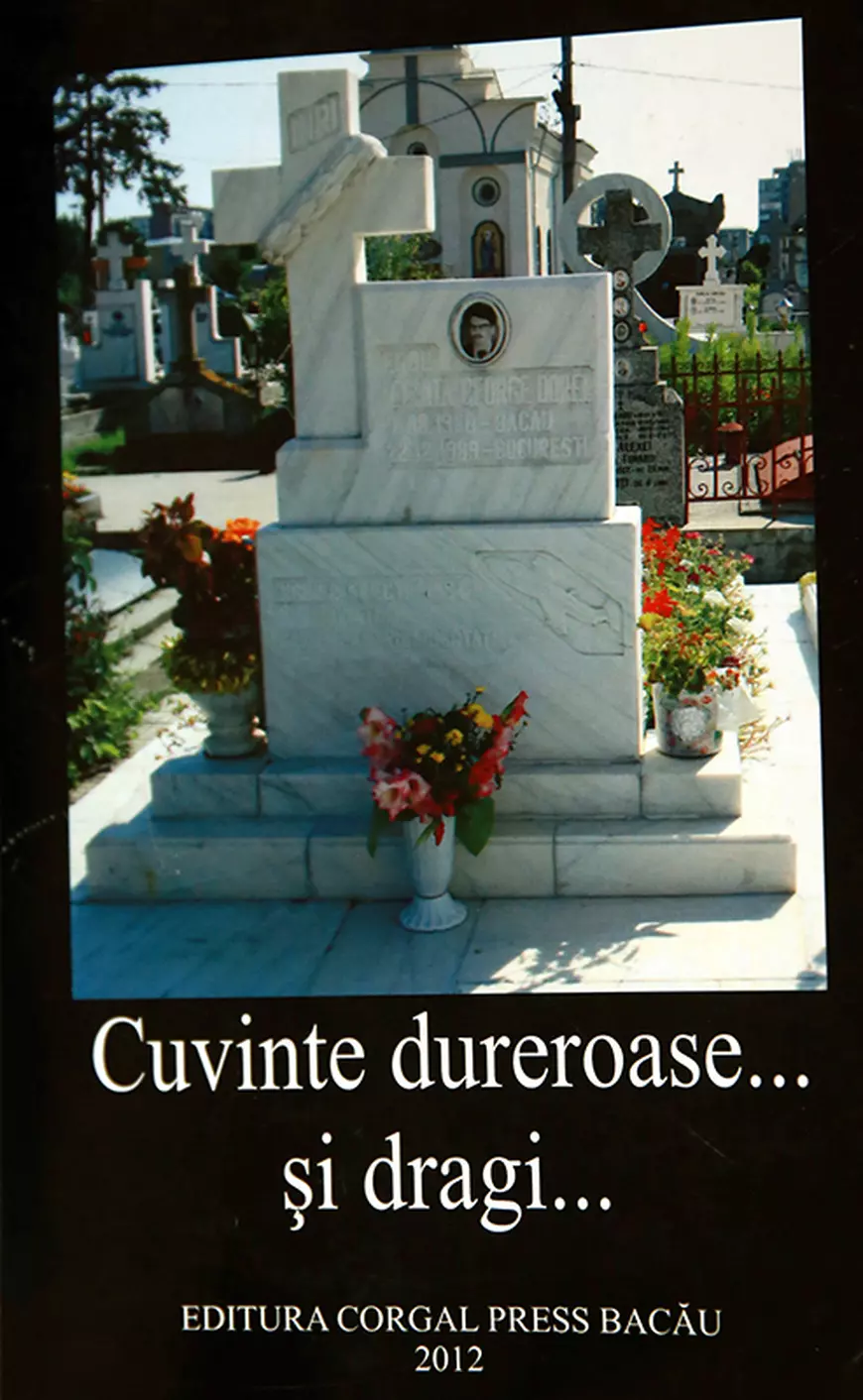 S-a dus să scoată din foc cărțile Bibliotecii Universitare și a fost împușcat în inimă. 33 de ani de când o mamă din Bacău își plânge copilul mort la Revoluție