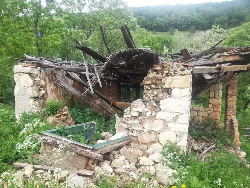 REPORTAJ. Problemele unui antreprenor întors acasă: „Cei de la ISU m-au întrebat: «Dar plan de evacuare cădere meteoriți aveţi?» Glumeau sau nu?”