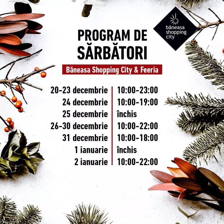 Programul Băneasa Shopping City de Crăciun