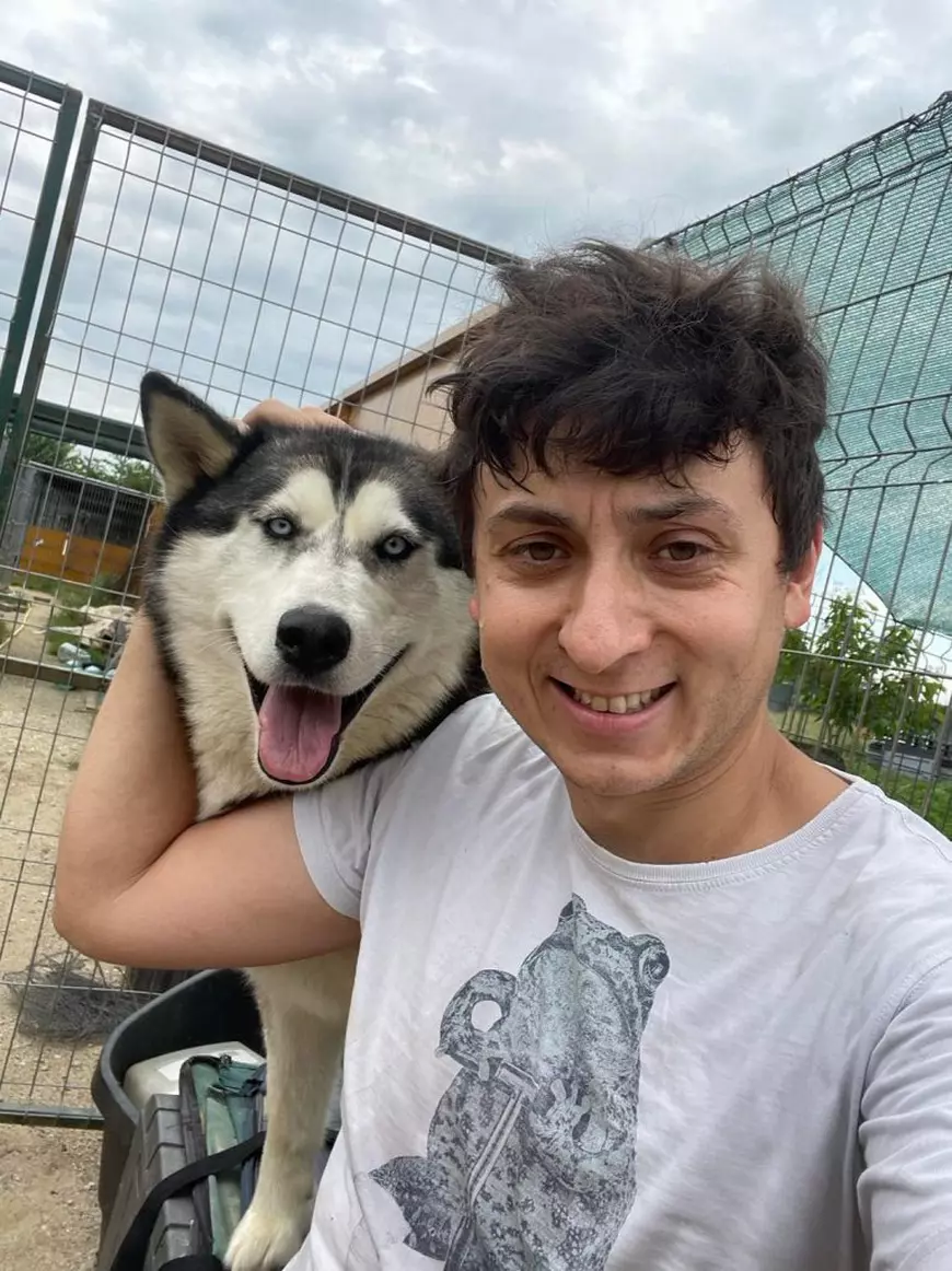 Ipoteza unui activist care se ocupă de câinii comunitari: „Câinii, unii de rasă, sunt preferați unde au loc treburi dubioase, țin lumea departe de depozite ilegale de deșeuri”