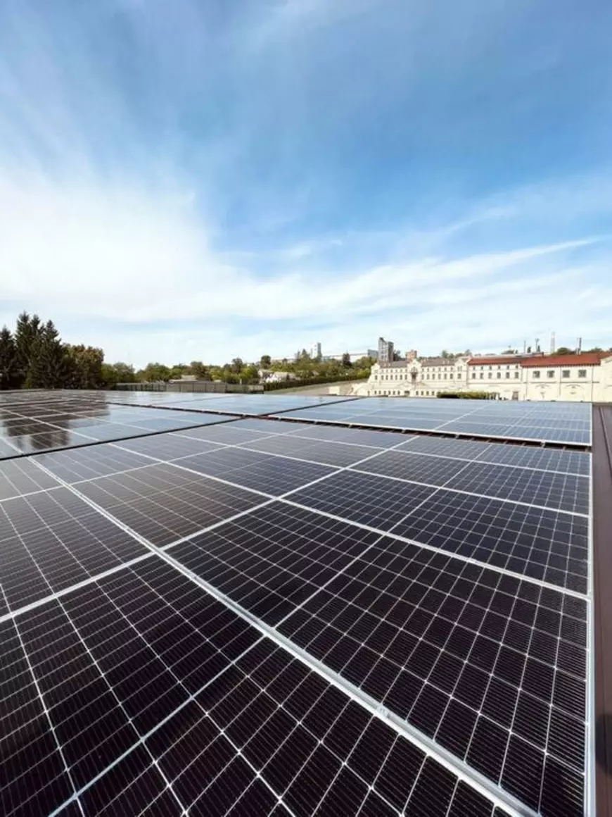 Cum se dezvoltă o afacere sustenabilă: exemplul Castel Mimi