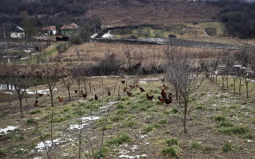 REPORTAJ. Visul de renaștere într-un sat depopulat din Alba, unde se va ridica un complex balnear: „De 50 de ani n-au mai fost aici. Acuma, c-o văzut că se reabilitează, îşi caută locurile”