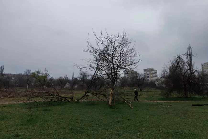 Masacrarea Parcului IOR. Cum luptă o comunitate să salveze 12 hectare de spațiu verde pierdute de primărie: „N-avem destule betoane?”