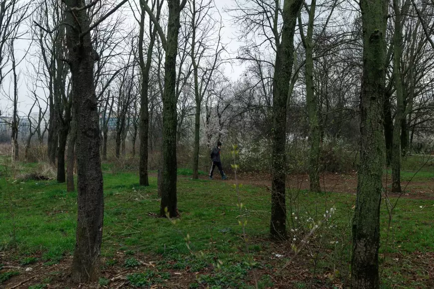 The Park Massacre. How a community fights to save 12 hectares of green space lost by the municipality. "Don’t we have enough concrete?"