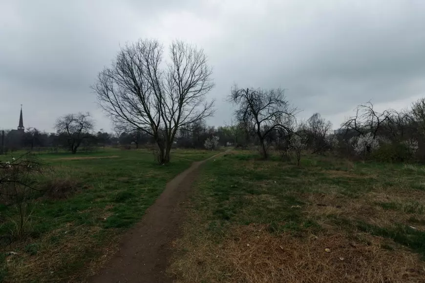 The Park Massacre. How a community fights to save 12 hectares of green space lost by the municipality. "Don’t we have enough concrete?"