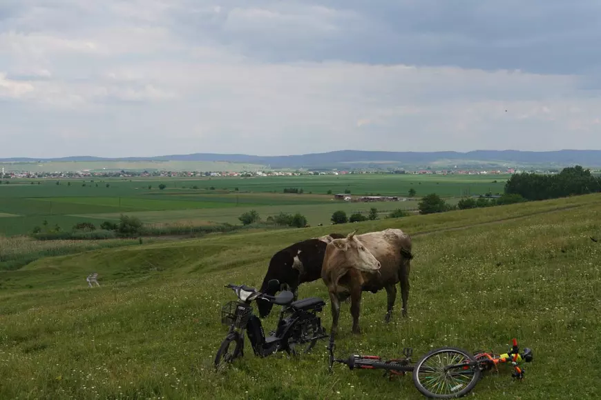 Eliberarea românului Iulian Gherguț: ce a spus un general african înainte de eliberare