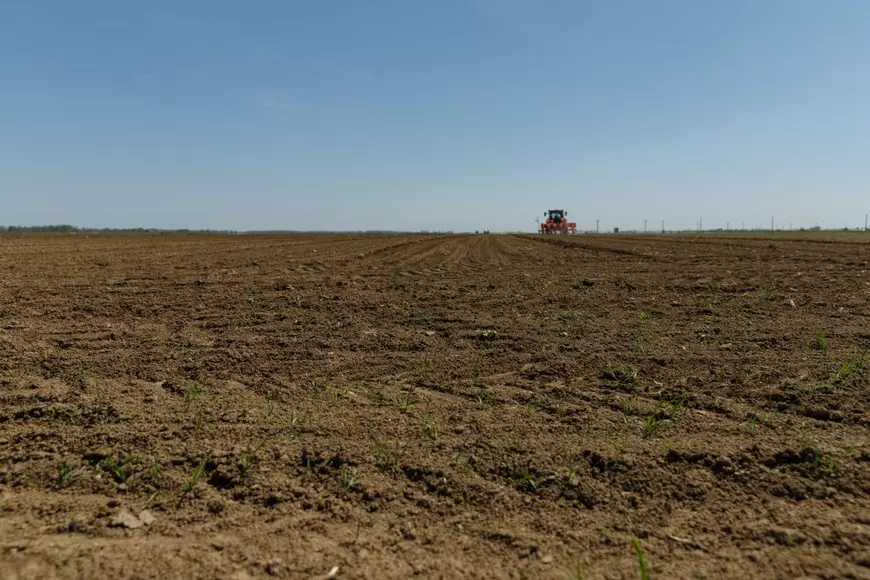 REPORTAJ. Care este noul pol al secetei din România unde zeci de fermieri se declară în faliment. Declarațiile oamenilor din generația nouă de agricultori 