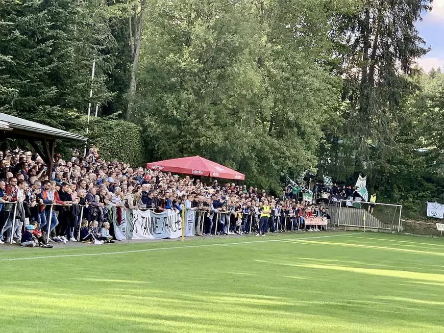 Albinele au oprit un meci de fotbal din Germania, după ce un jucător a tras din greșeală într-un stup