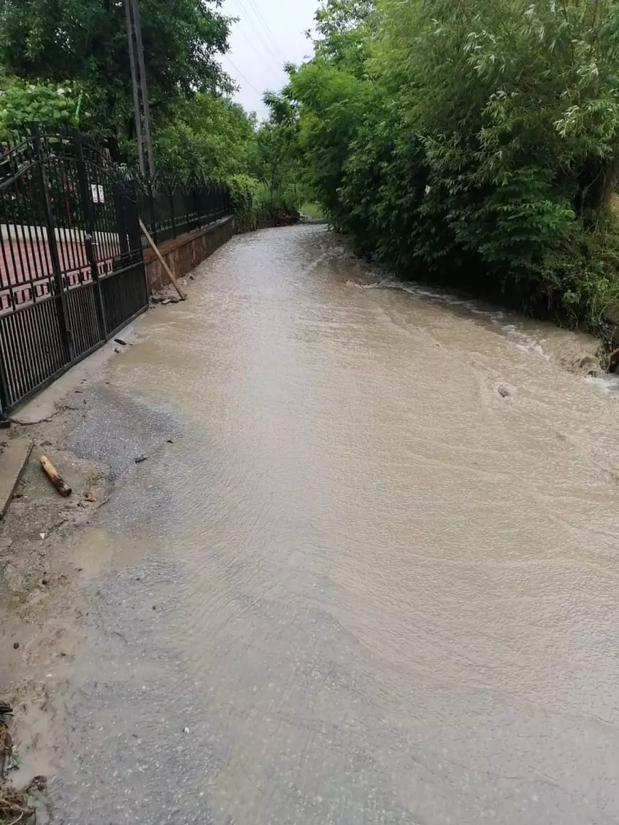 Urmările codului roșu de ploi torențiale: case inundate, drumuri blocate și copaci căzuți pe șosea