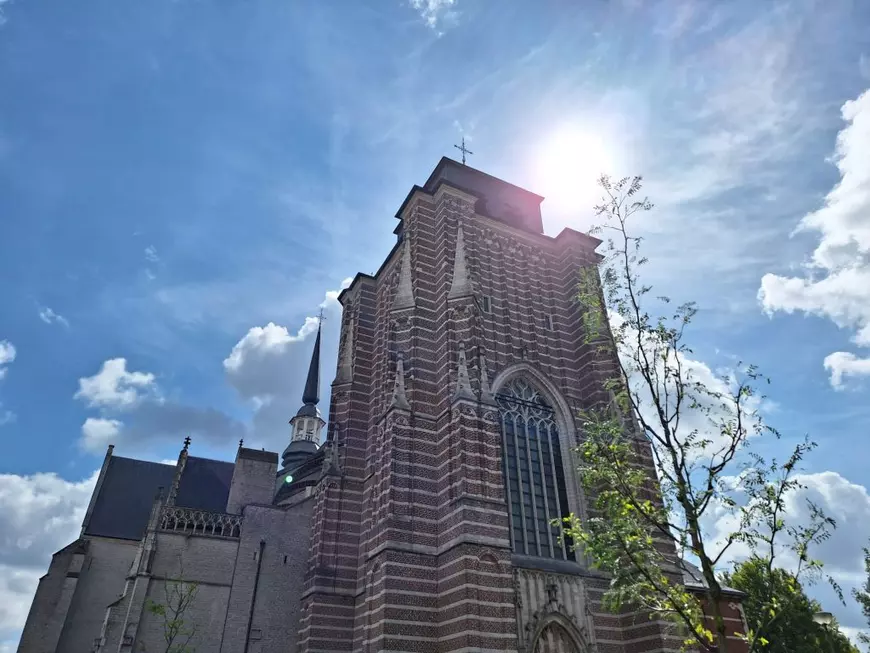 CORESPONDENȚĂ DIN BELGIA. Reportaj din orașul unic în lume unde de la exorcizări s-a ajuns la „adoptarea” oamenilor cu suferințe mintale în familii 