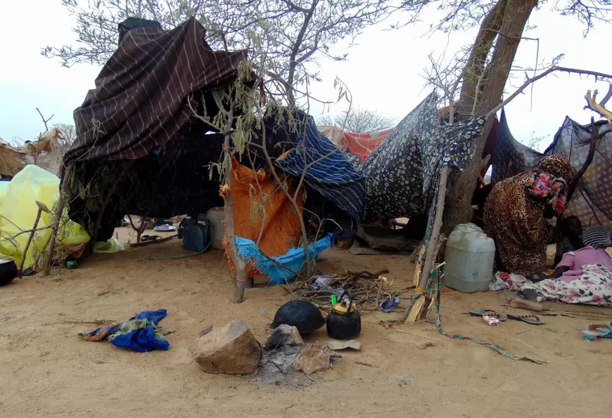 INTERVIU. La 5.000 km de București, un alt război face mii de morți. O tânără vorbește despre țara plină de bogății, dar care se zbate în sărăcie. „Mă gândeam mereu: dacă nu va mai fi nimic de mâncare?”