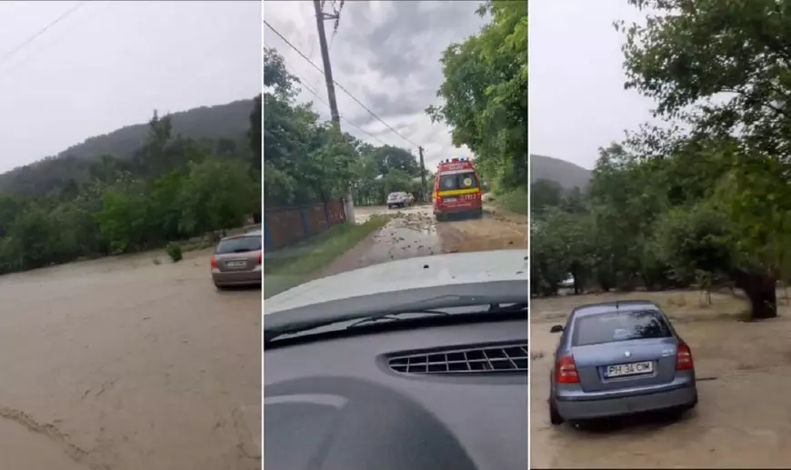 Ploile torențiale au produs pagube în județul Prahova. Case inundate, copaci doborâți și drumuri blocate de ape. FOTO