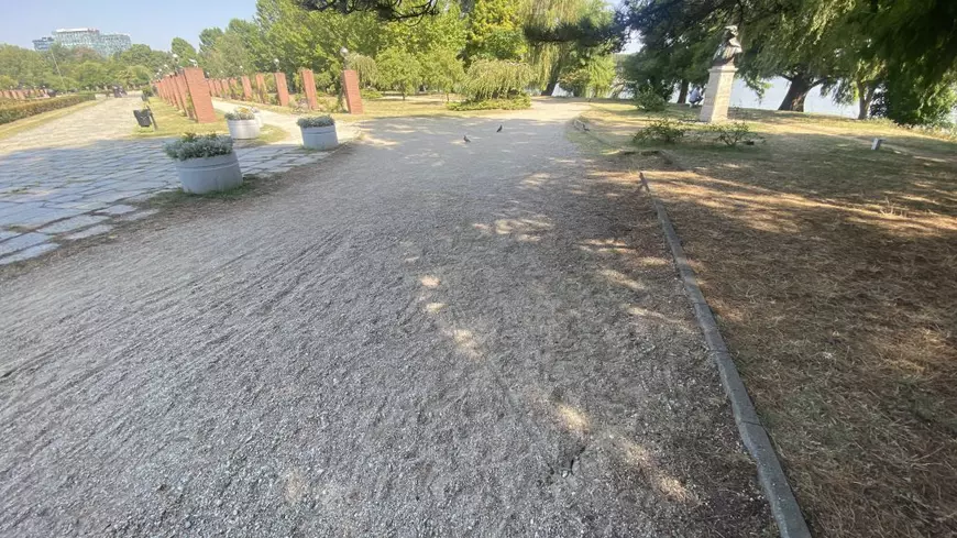 FOTO. Herăstrău, cel mai mare parc al Bucureștiului, arată mai rău ca niciodată. Trandafirii și zonele cu flori sunt istorie, clădirile pentru expoziții au fost vandalizate