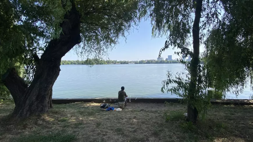 FOTO. Herăstrău, cel mai mare parc al Bucureștiului, arată mai rău ca niciodată. Trandafirii și zonele cu flori sunt istorie, clădirile pentru expoziții au fost vandalizate