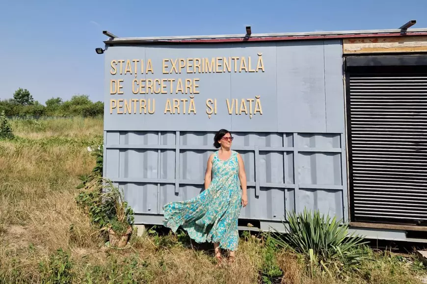 În țara în care 8 din 10 cărți sunt piratate se tem scriitorii și traducătorii de inteligența artificială? „Noi, în România, ne gândim la supraviețuire”