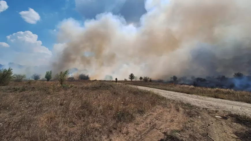 Incendiu masiv lângă Pădurea Băneasa. Sunt afectate 30 de hectare