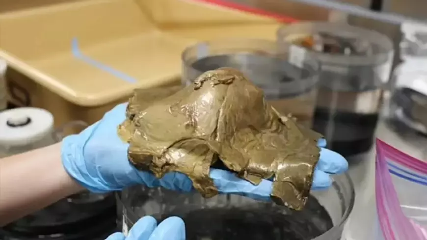 „Ou de aur” misterios descoperit la 3,2 km adâncime, pe fundul Oceanului Pacific, în Golful Alaska: „Ca începutul unui film de groază”