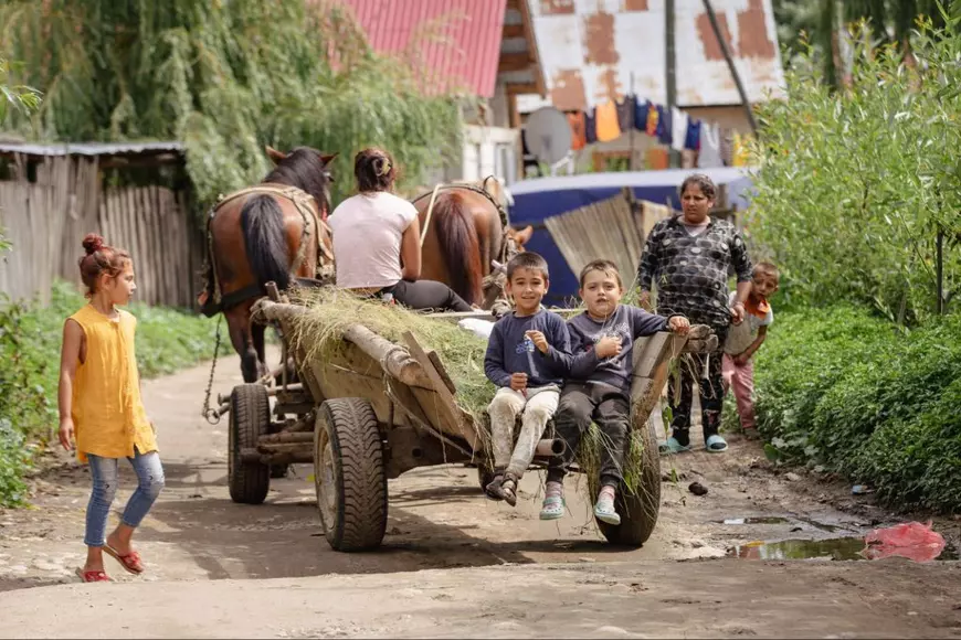 Fiindcă treceau prin pădure până la școală, generații întregi din cătunul Tufanu cu Icoana, Argeș, n-au ajuns să termine opt clase. Cum au luptat