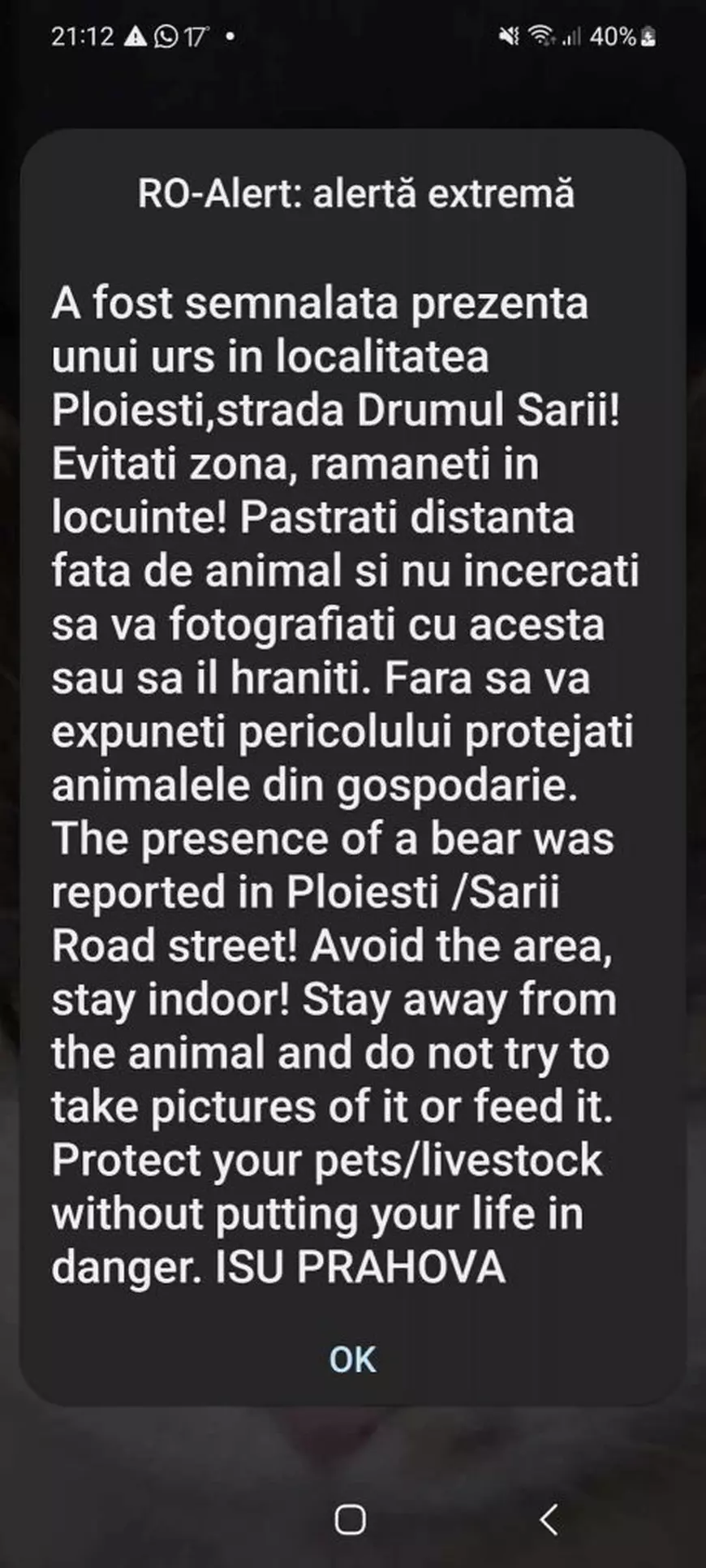 Prezența unui urs, semnalată în Ploiești. Autoritățile au emis mesaj RO-Alert
