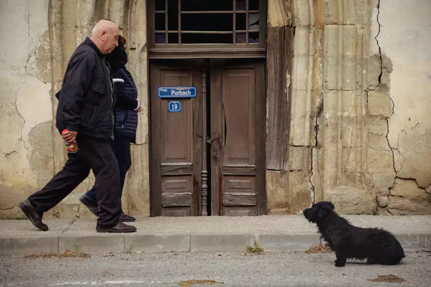 REPORTAJ. Mateș, câinele credincios care își așteaptă de trei ani stăpânul decedat în fața unei biserici din Transilvania: „L-a iubit mult”