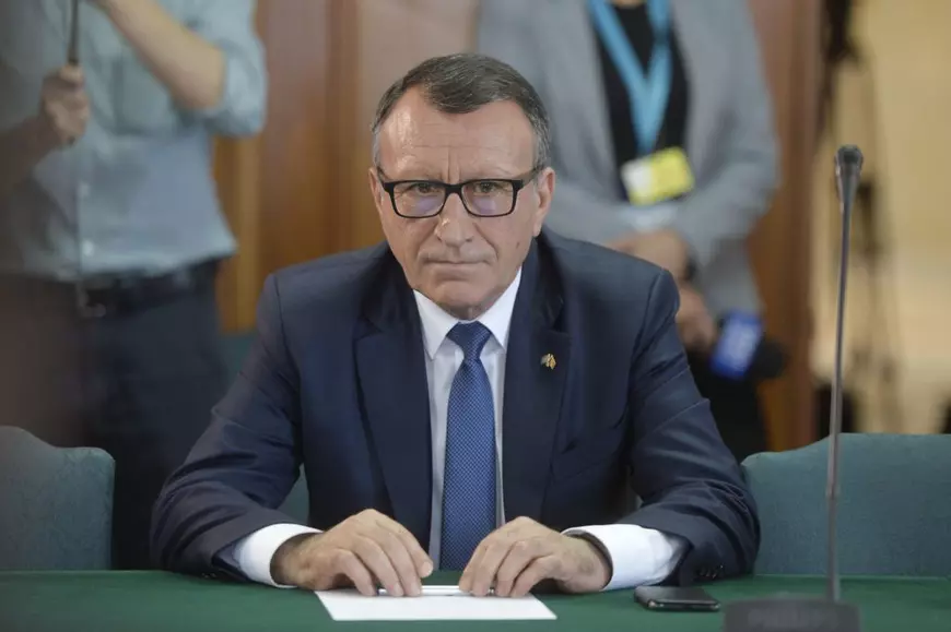 „Rețeaua Stăneștilor”. Cum au ajuns fonduri europene de sute de mii de euro la firme controlate de familia secretarului general al PSD