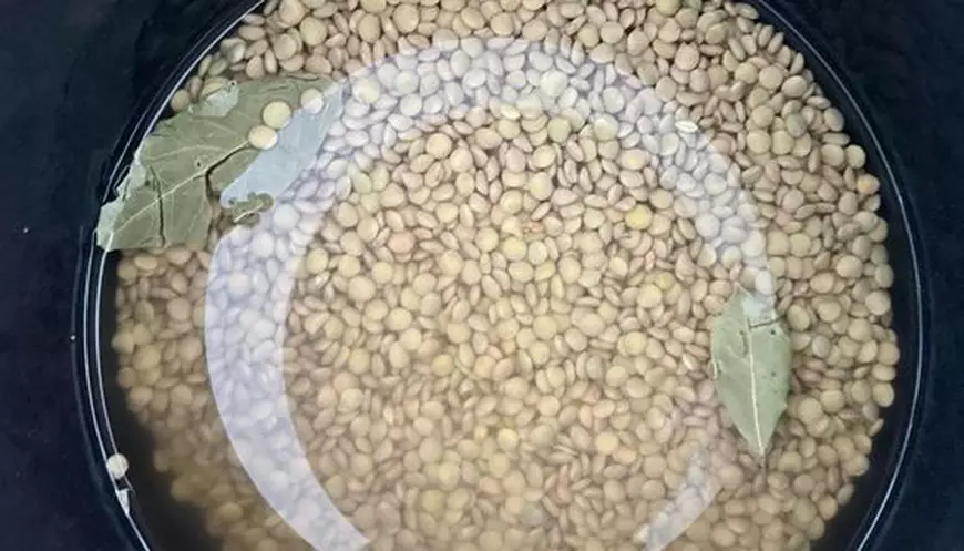 Mâncare de linte - rețetă rapidă