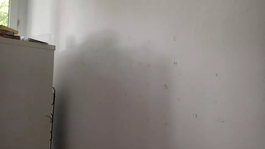 „Petice” pe pereții unei camere din căminul Grăzăvești