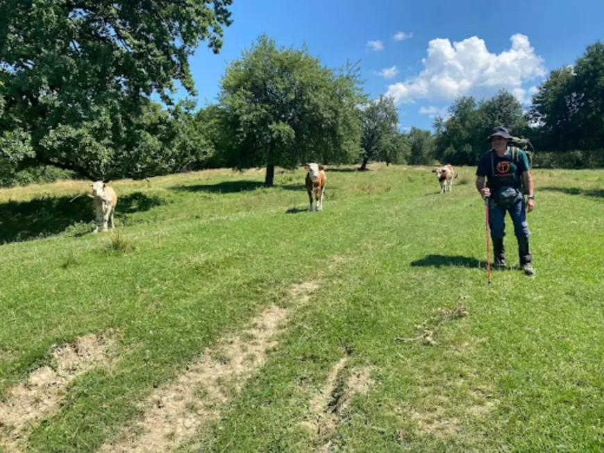 ROMÂNIA EXPRES. După ce și-au vândut casa din Australia, doi soți au mers 1.200 km pe jos și au descoperit bunătatea bătrânilor noștri: „Cu nimicul pe care îl aveau, au sărit să ajute”