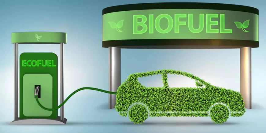 Ce Sunt Biocombustibilii şi La Ce Se Folosesc Libertatea 