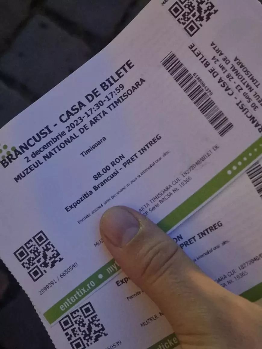 REPORTAJ Am stat trei ore la coadă pentru 29 de minute de cultură. De ce sunt cozi imense la expoziția Brâncuși din Timișoara