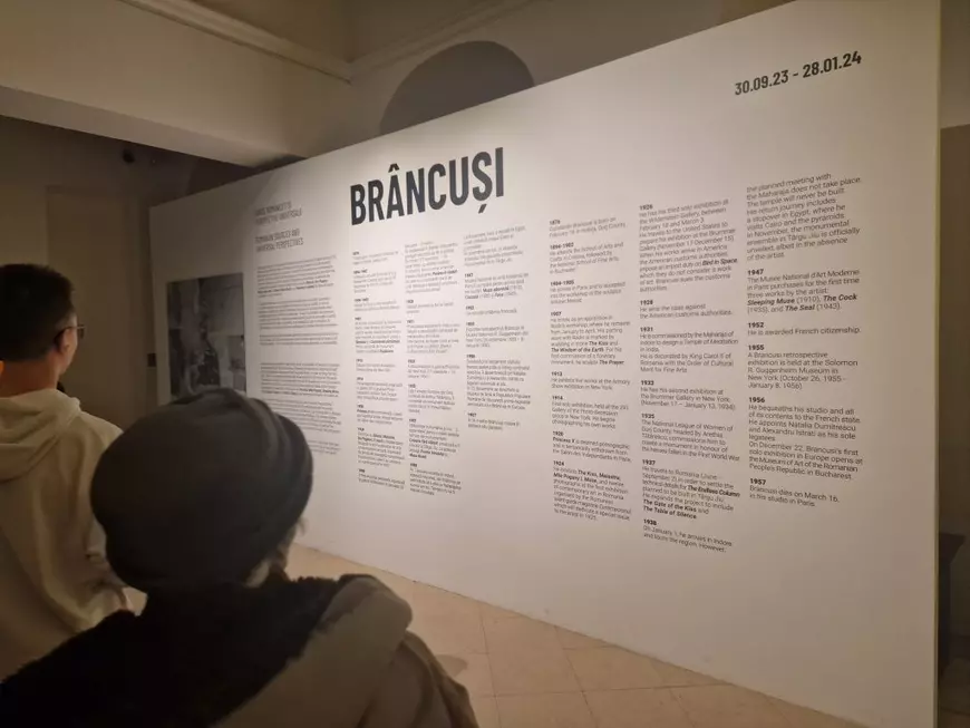 REPORTAJ Am stat trei ore la coadă pentru 29 de minute de cultură. De ce sunt cozi imense la expoziția Brâncuși din Timișoara