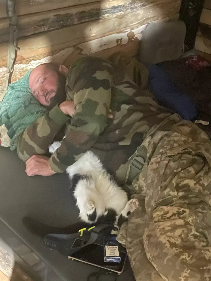 Soldații ucraineni aduc pisici pe front, ca să-i scape de șoareci: „Ne-au salvat viața de mai multe ori”