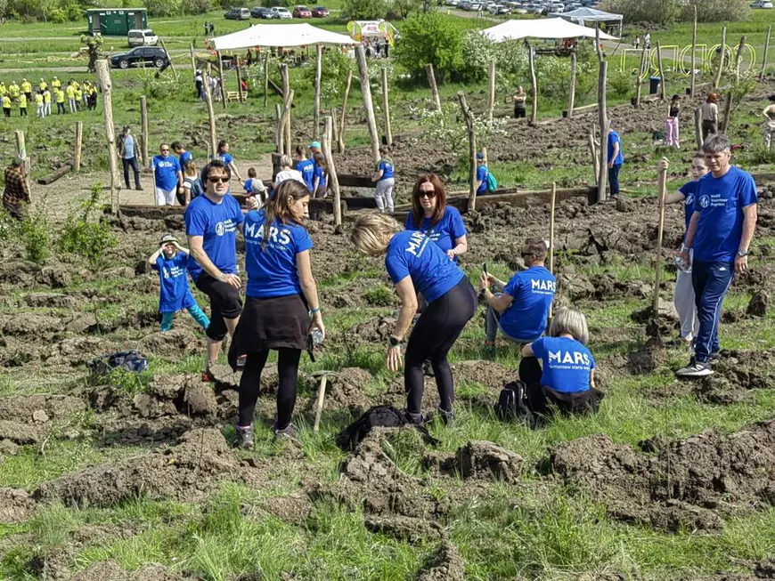 Organizații caritabile și mediu: milioane de lei și mii de ore de voluntariat în folosul comunităților