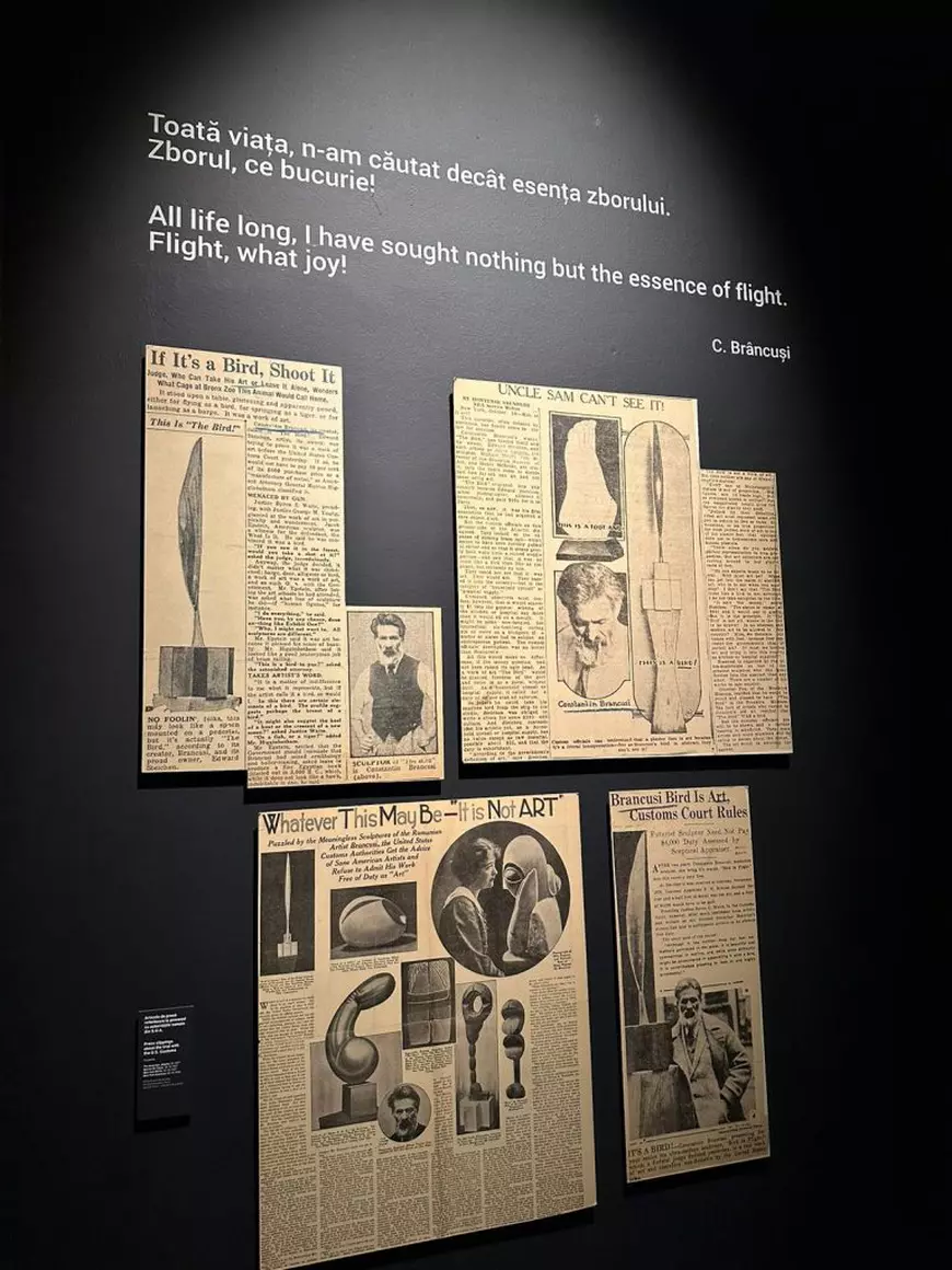 REPORTAJ Am stat trei ore la coadă pentru 29 de minute de cultură. De ce sunt cozi imense la expoziția Brâncuși din Timișoara