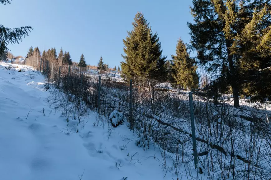 REPORTAJ. Dezastru ecologic finanțat cu 64 de milioane de euro, bani europeni, în județul Suceava: un sat depopulat și un munte pierdut