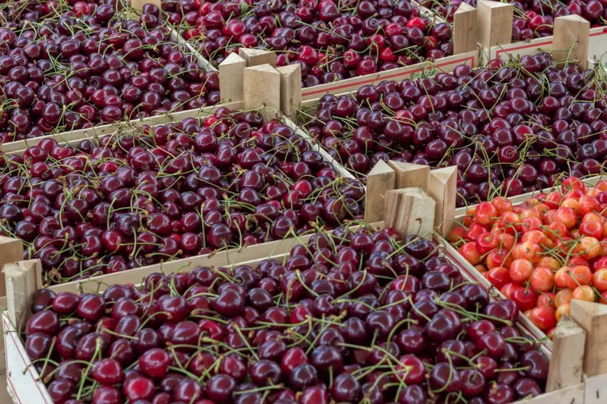 Cum și când să cumperi cireșe? Expert în horticultură: „Cireșele de mai sunt de «poftă», nu au gustul celor de iunie. Mai mult, ce găsești acum pe tarabă sunt din import”