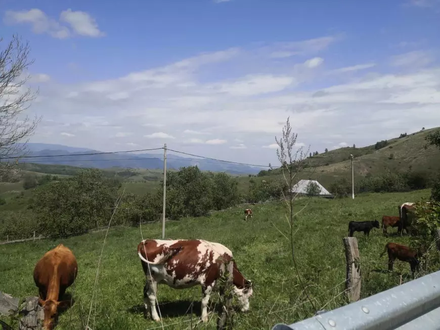 Transapuseana, drumul care scoate din izolare una dintre cele mai frumoase zone ale României. „În 30 de minute ești în mijlocul unui peisaj sălbatic”