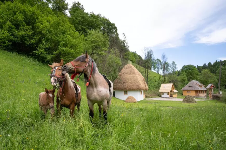 Transapuseana, drumul care scoate din izolare una dintre cele mai frumoase zone ale României. „În 30 de minute ești în mijlocul unui peisaj sălbatic”