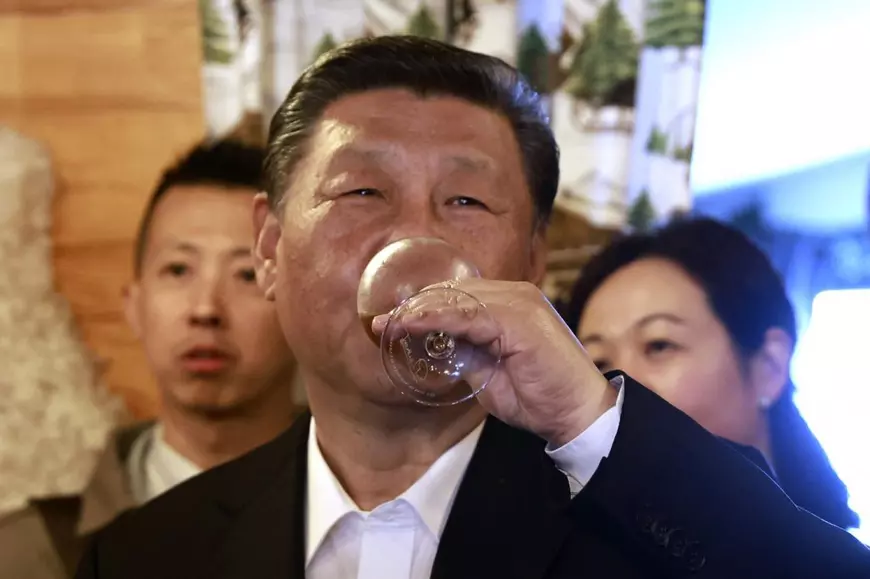 Emmanuel Macron încearcă să-l „seducă” pe Xi Jinping cu o escapadă în Munții Pirinei. Dansuri, brânză și jambon, alături de soții. Cadourile oferite liderului chinez | VIDEO