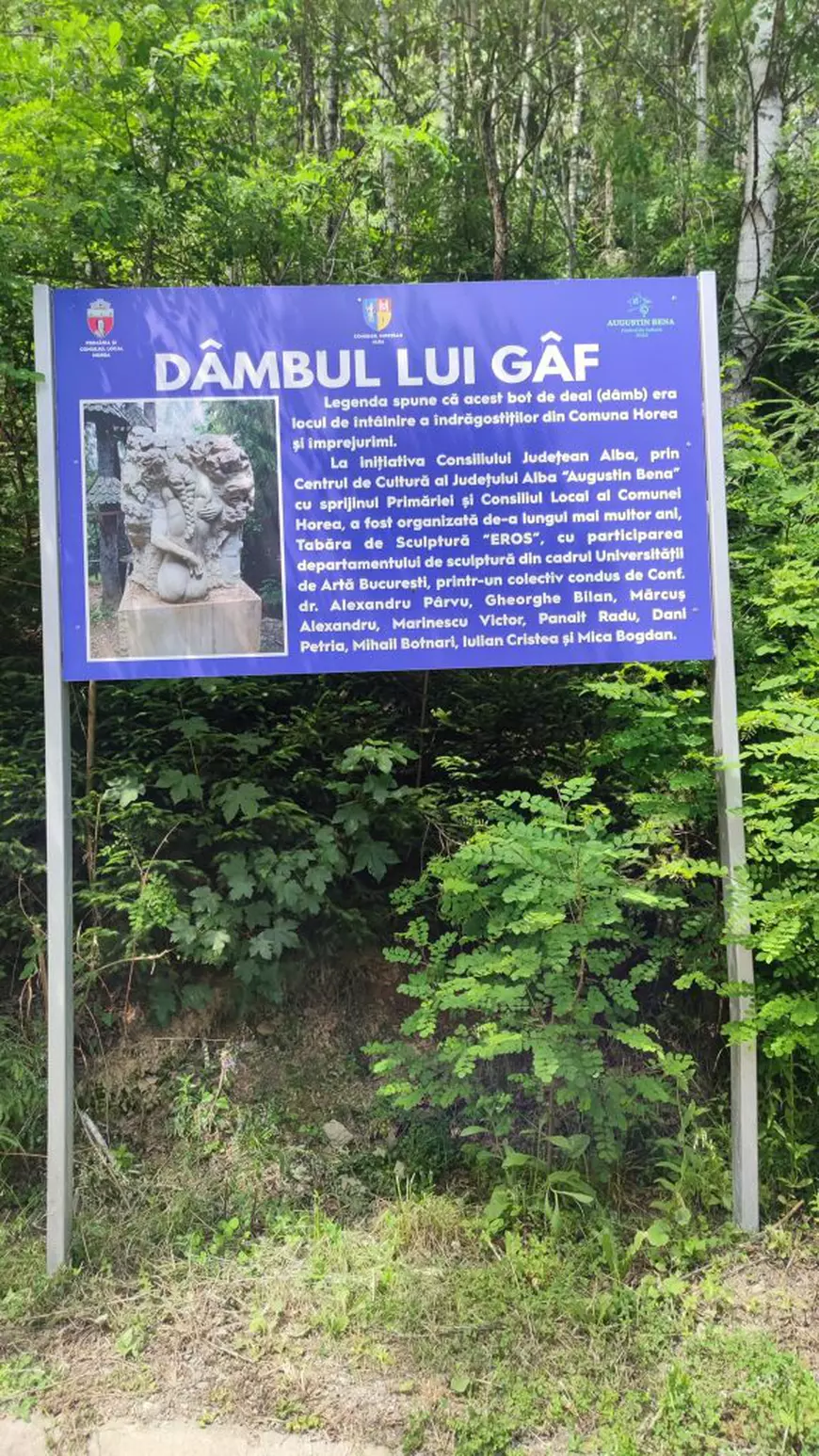 Satul turistic ridicat în Apuseni după accidentul de avion în care a murit Adrian Iovan, în 2014. A apărut inclusiv un parc tematic cu statui nud