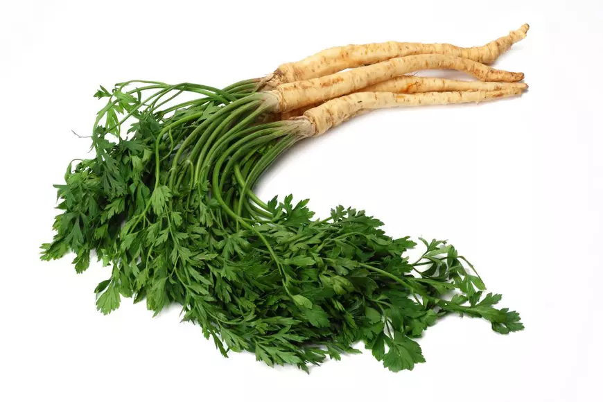 Rădăcina de pătrunjel