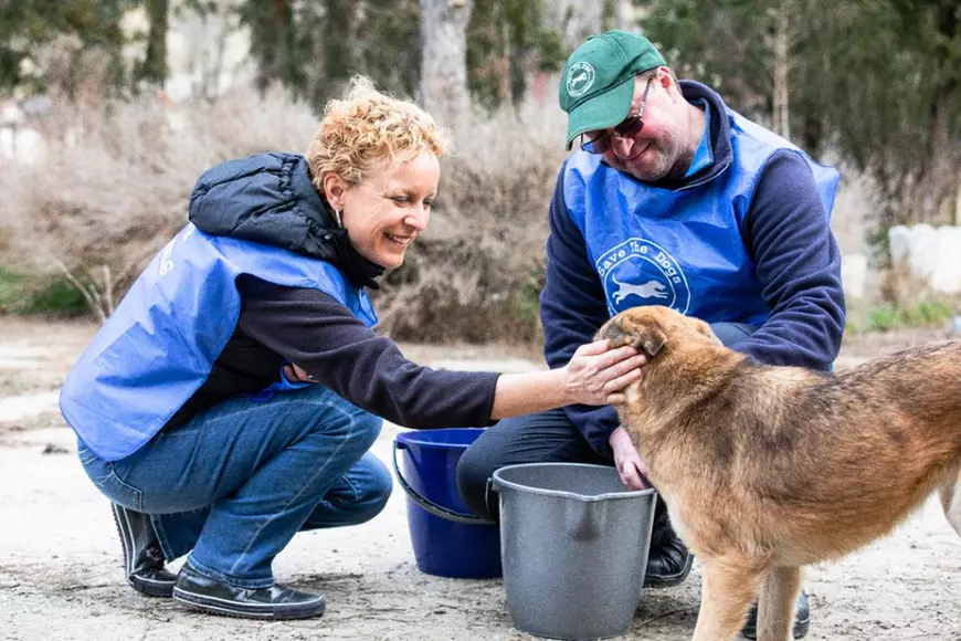 Povestea adăpostului de animale de la Cernavodă care face ateliere de jucării și aduce deținuți să interacționeze cu măgărușii: „E o chestie de civilizație să facem astfel de activități” 