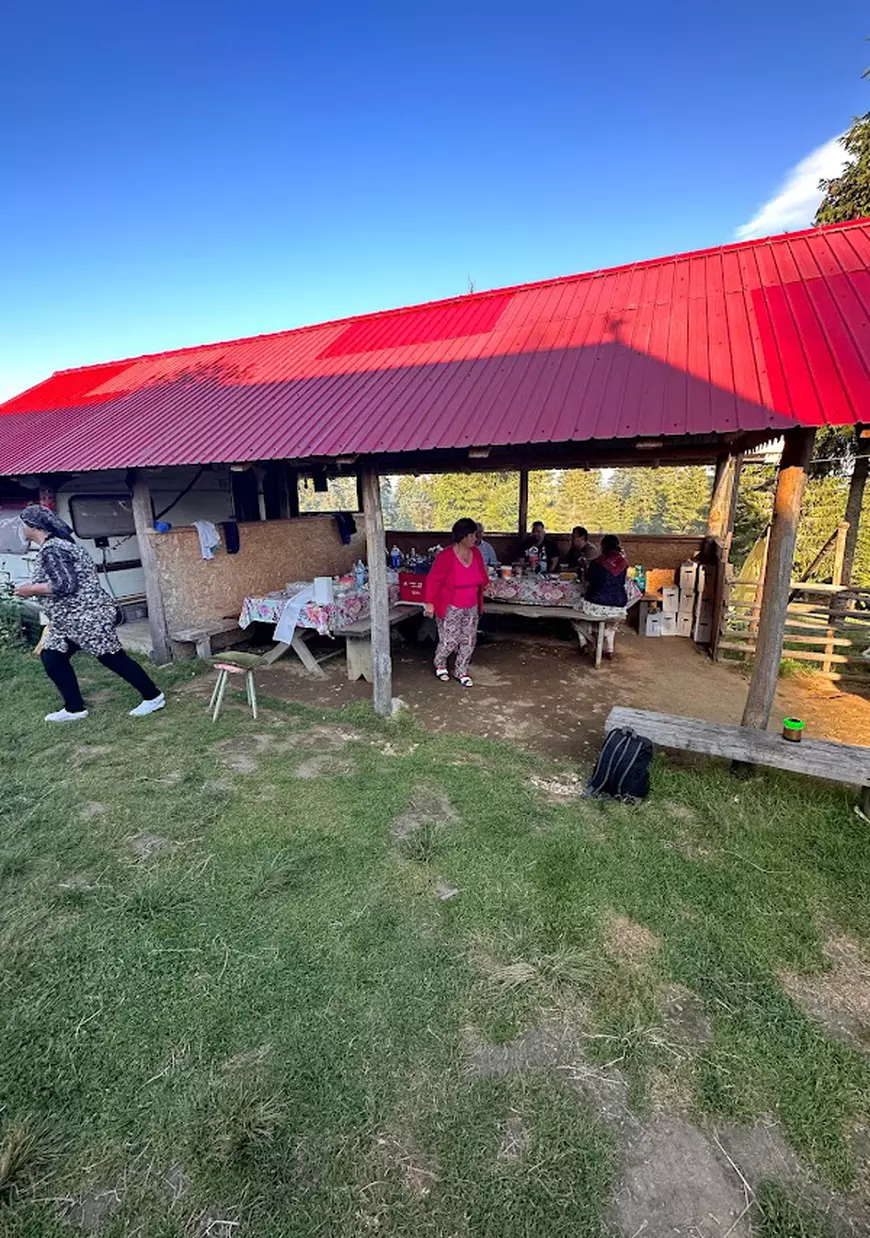 „Potecu’ Stânelor”, traseul tematic unic în România. Cascade la tot pasul, poieniţe retrase, poteci secrete și mâncare din abundență