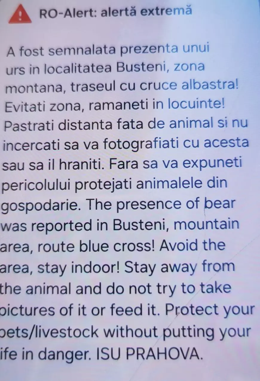 O fată de 19 ani a murit, după ce a fost atacată de urs, pe traseul Jepii Mici din Bucegi. Animalul a fost împușcat