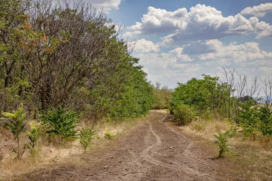 Profilerul Dorin Dumitran, despre cele 4 femei ucise în Vaslui, după ce au fost luate cu maşina la autostop: „Sunt trei criminali neprinşi, nu unul”