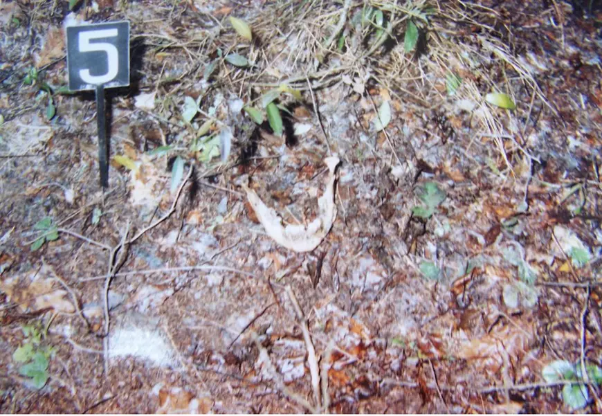 Criminalul în serie care acţiona în Vaslui după model american fentează poliţia de 24 de ani. A ucis patru femei luate la autostop şi le-a abandonat cadavrele în păduri
