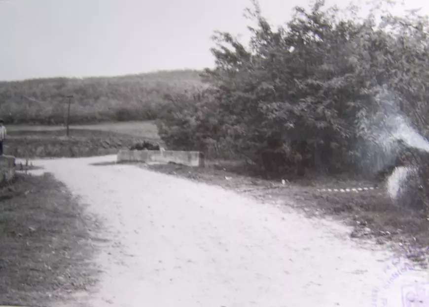 Profilerul Dorin Dumitran, despre cele 4 femei ucise în Vaslui, după ce au fost luate cu maşina la autostop: „Sunt trei criminali neprinşi, nu unul”