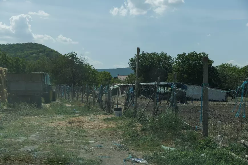 Pe urmele lui Ionuţ Geană, copilul dispărut după ce a fost dus de rude la un saivan din Tulcea unde era „om de curte”.  „L-am văzut când pleca cu o maşină roşie, cu unu’ tatuat”